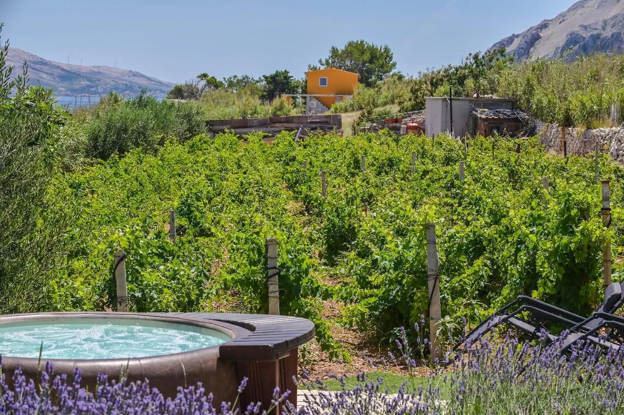 House Silvijo Villa Pag Town Holiday home