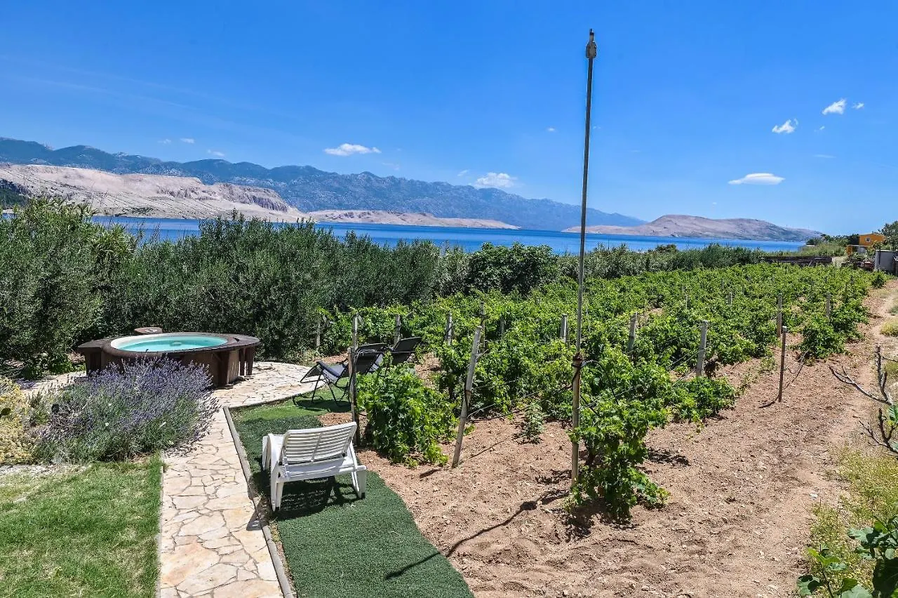 House Silvijo Villa Pag Town Semesterbostad